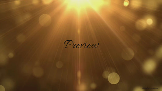 Wedding Invitation Platinum #1